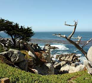 Entlang des 17 Miles Drive