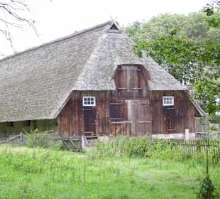 Kutschfahrt Undeloh Impression