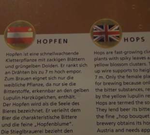 Alles für Nase und Gaumen