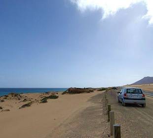Reichlich Sonne im Januar