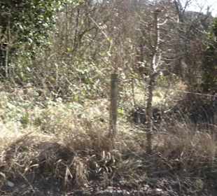 HAP Grieshaber Rundweg