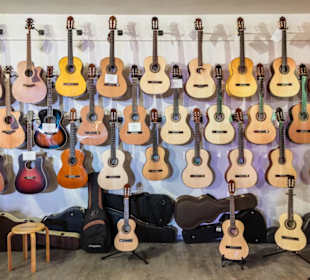 Meistergitarren
