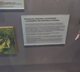 Jura-Museum