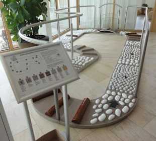 Fußreflexzonenparcours