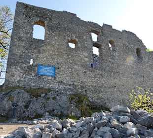 Burgruine Falkenstein