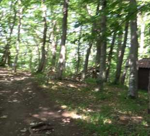 Premiumwanderweg "hochgelegen"