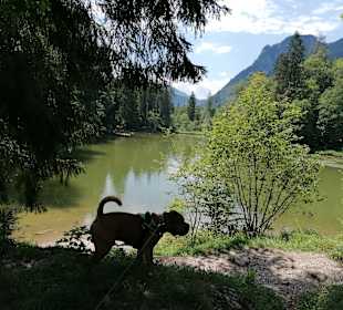 Wandern Ruhpolding