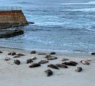 Küste La Jolla