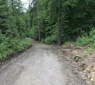 Schutzgebiet Spitzberg, Pfaffenberg