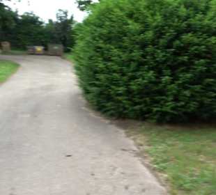 Friedhof Derendingen