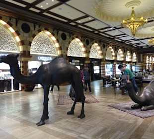 Stimmungsvolle Atmosphäre