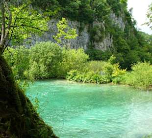 wunderschöne Natur pur