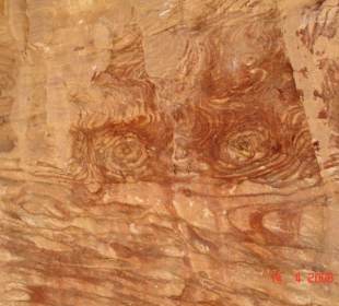 Ausflug zum Colored Canyon