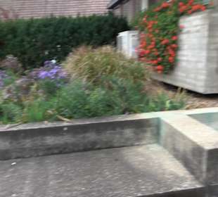 Rathaus Frickenhausen