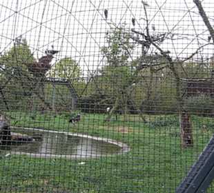Tierpark 