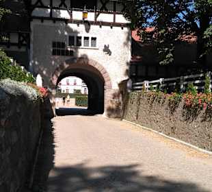 Eingang zum staatlichem Pferdegestüt