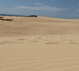Wanderdünen