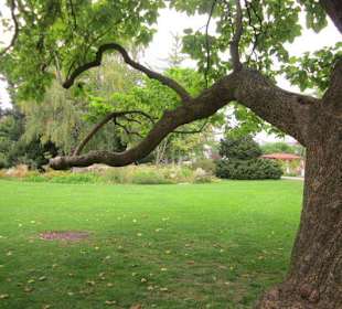 Kurpark Bad Dürkheim