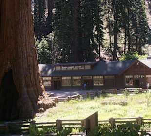 Giant Forrest Museum