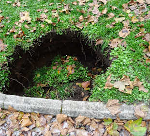 Herrngarten