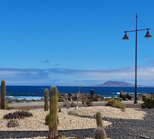 Strand Corralejo