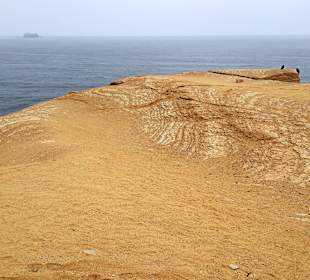 Nationalreservat Paracas