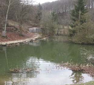 Wildpark Eichert