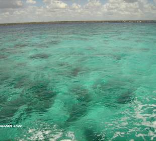 Ausflug mit dem Speedboot nach Saona