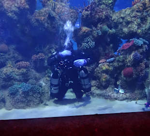 Er machte Spaß mit den Kindern