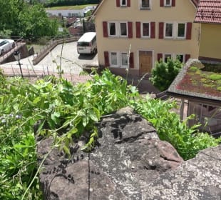 Kräutergarten Altensteig