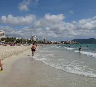 Stand von Calla Millor