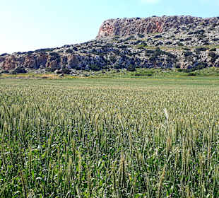 Nationalpark Kap Greco