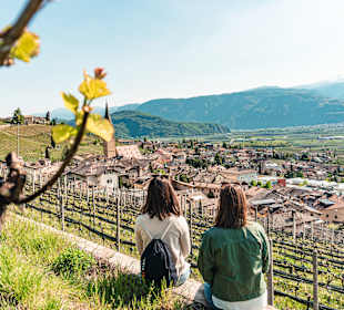 Wandern Termeno sulla Strada del Vino / Tramin an der Weinst