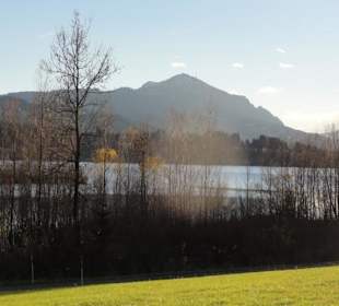 Herbst 2014