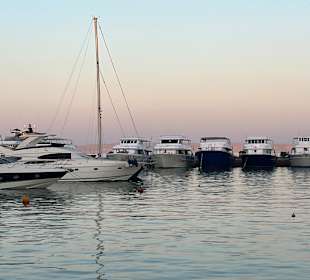 Stadtrundgang El Gouna