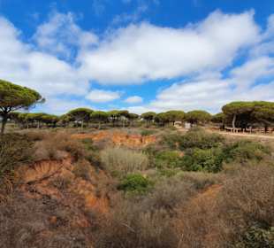 Landschaft oberhalb der Bucht