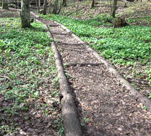 Barfuß-Pfad Firstwald