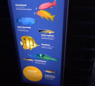 Aquarium