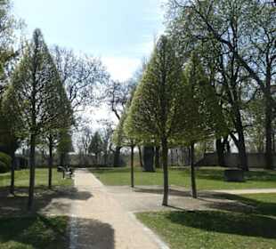 Im Alten Friedhof in Schweinfurt