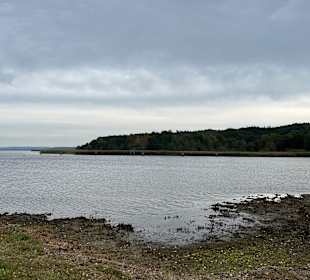 Boddenrundfahrt