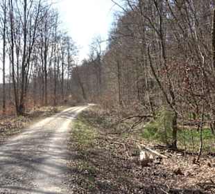 Geologischer Lehrpfad Kirnbachtal