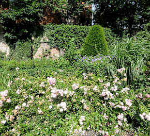 Parkfläche unter dem Bibelgarten