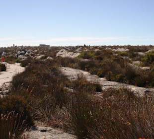 Wanderung auf denTafelberg