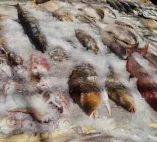 Fischmarkt Hurghada
