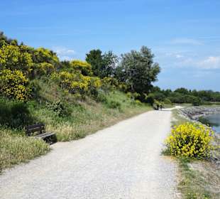 Impressionen vom Rundweg um den Lac de la Raho
