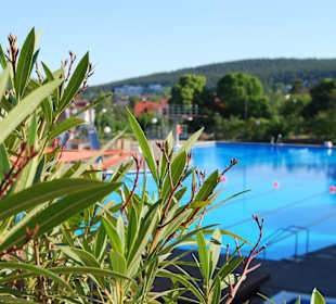 Bergschwimmbad Erlenbach