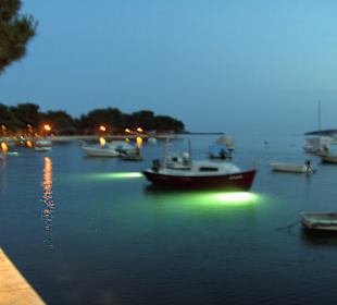 Sehr romantisch für einen Spaziergang