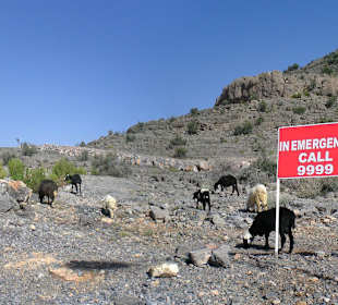 Am nächsten Tag schien wieder die Sonne
