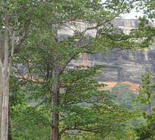 Sigiriya Felsen