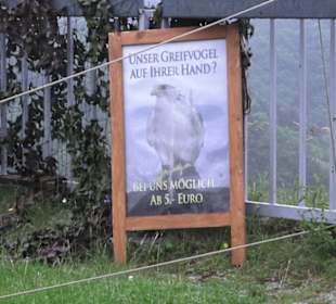 Burgruine Hohenneuffen